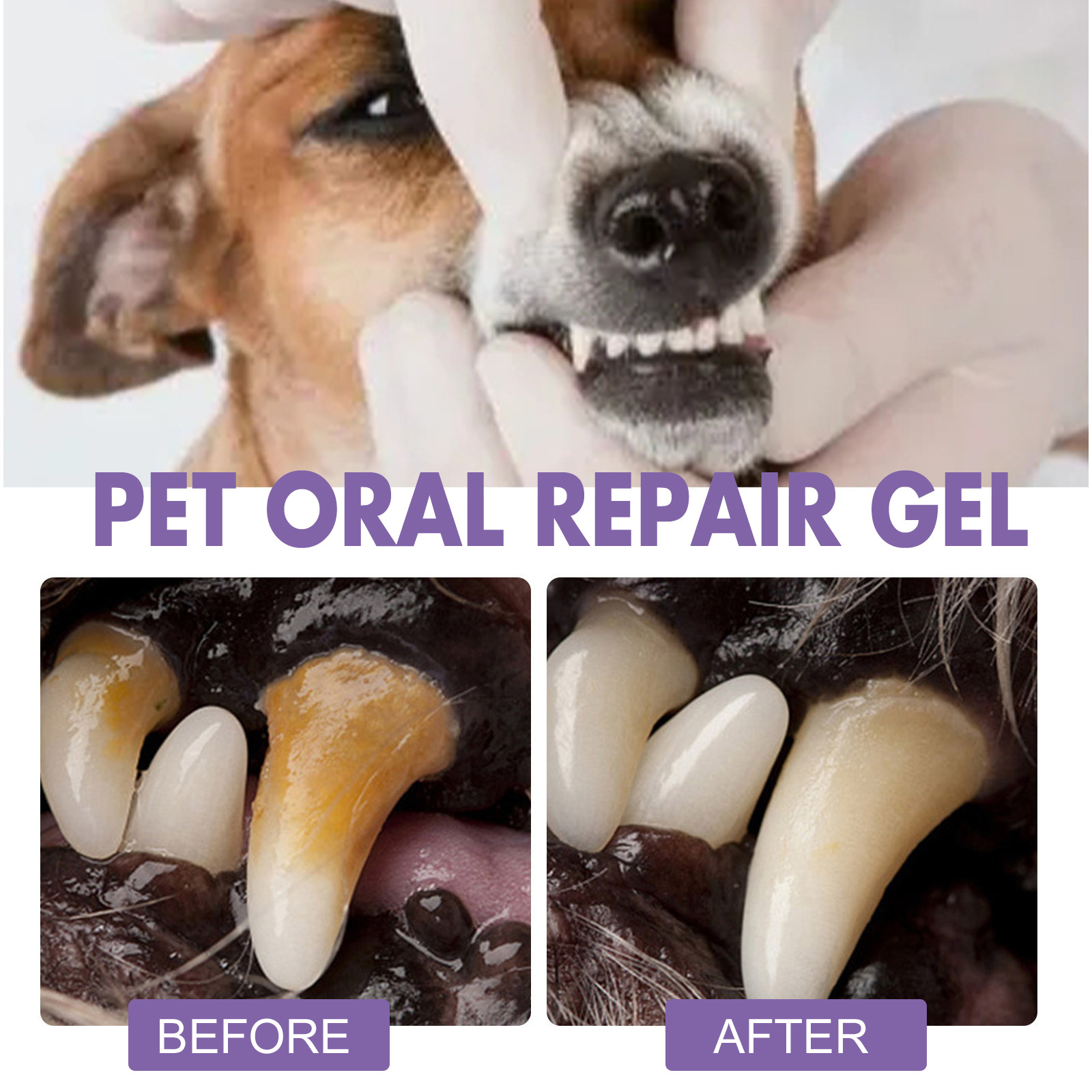 الحيوانات الأليفة الفم إصلاح ه - مراجعة Teeth Whitening Clinic وسعره