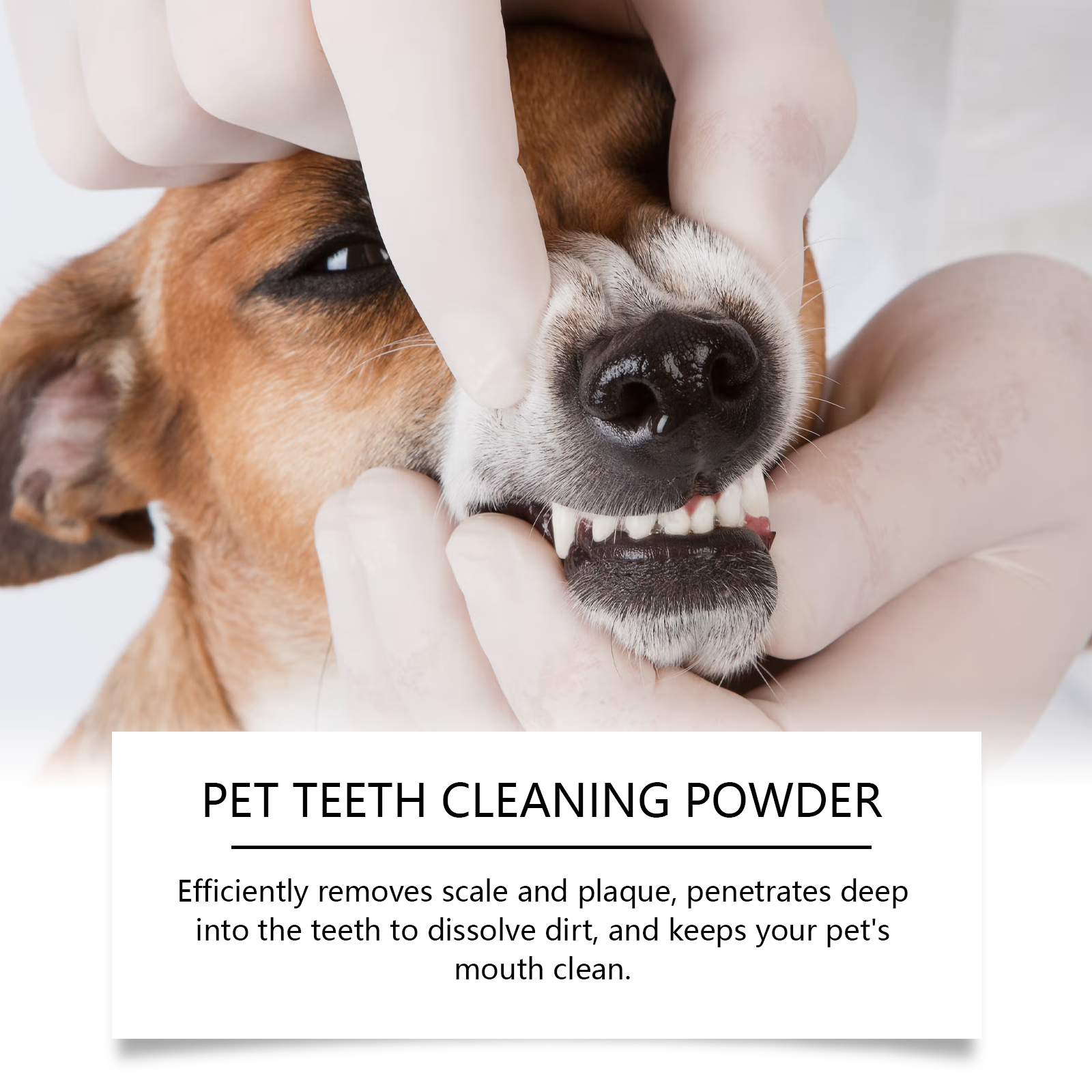 مسحوق تنظيف أسنان الحيوانات ال - مراجعة Teeth Whitening Clinic وسعره